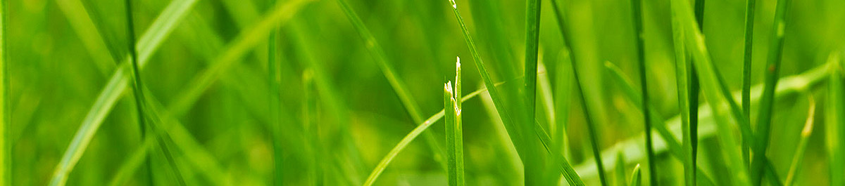 ddos压力测试平台